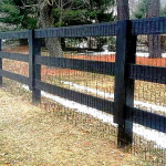 3-Rail Equestrian1