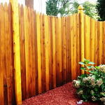 Cedar Privacy1