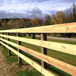 4-Rail Equestrian2