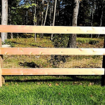 3-Rail Equestrian3