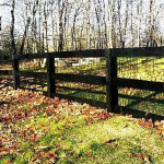 3-Rail Equestrian6