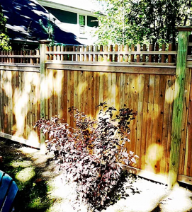 Cedar Topper Accent6