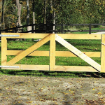 3-Rail Equestrian8