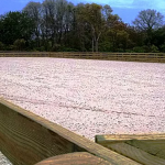 4-Rail Equestrian10