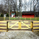4-Rail Equestrian12