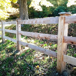 3-Rail Equestrian14