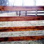 4-Rail Equestrian14
