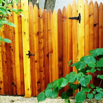 Cedar Privacy11