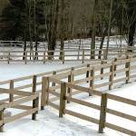 3-Rail Equestrian15