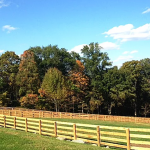 4-Rail Equestrian15