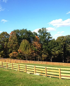 4-Rail Equestrian15