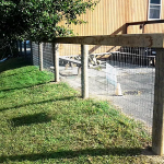 2-Rail Equestrian4