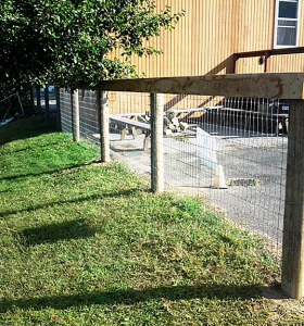 2-Rail Equestrian4