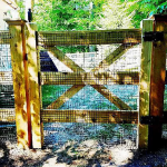 Cedar Post and Rail18