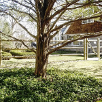 Cedar Post and Rail19