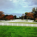 4-Rail Equestrian19