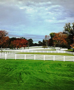 4-Rail Equestrian19