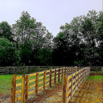 4-Rail Equestrian21