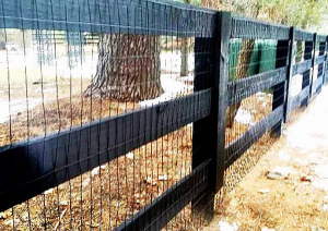 3-Rail Equestrian22
