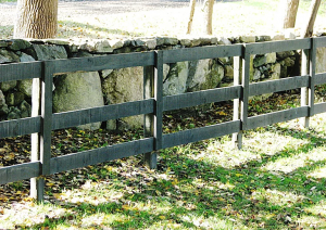 3-Rail Equestrian23