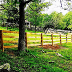 4-Rail Equestrian22