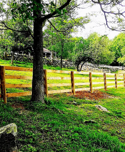 4-Rail Equestrian22