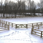 3-Rail Equestrian24