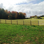 4-Rail Equestrian23