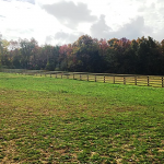 4-Rail Equestrian24
