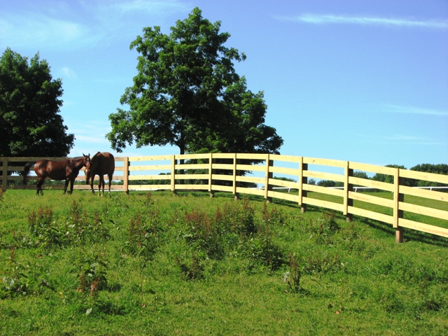 HF-025 White Birch Farm Greenwich, CT
