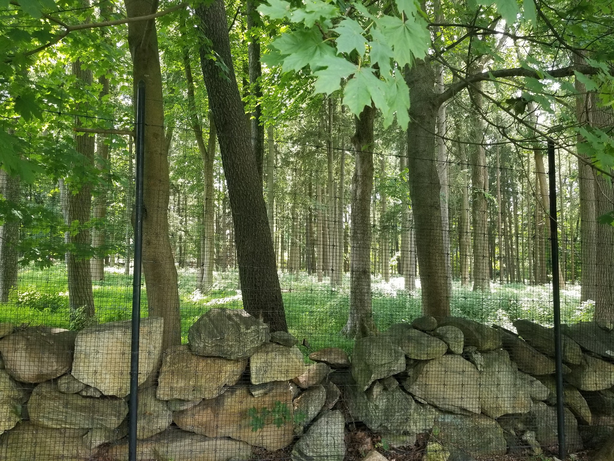 DEER FENCE INVIS