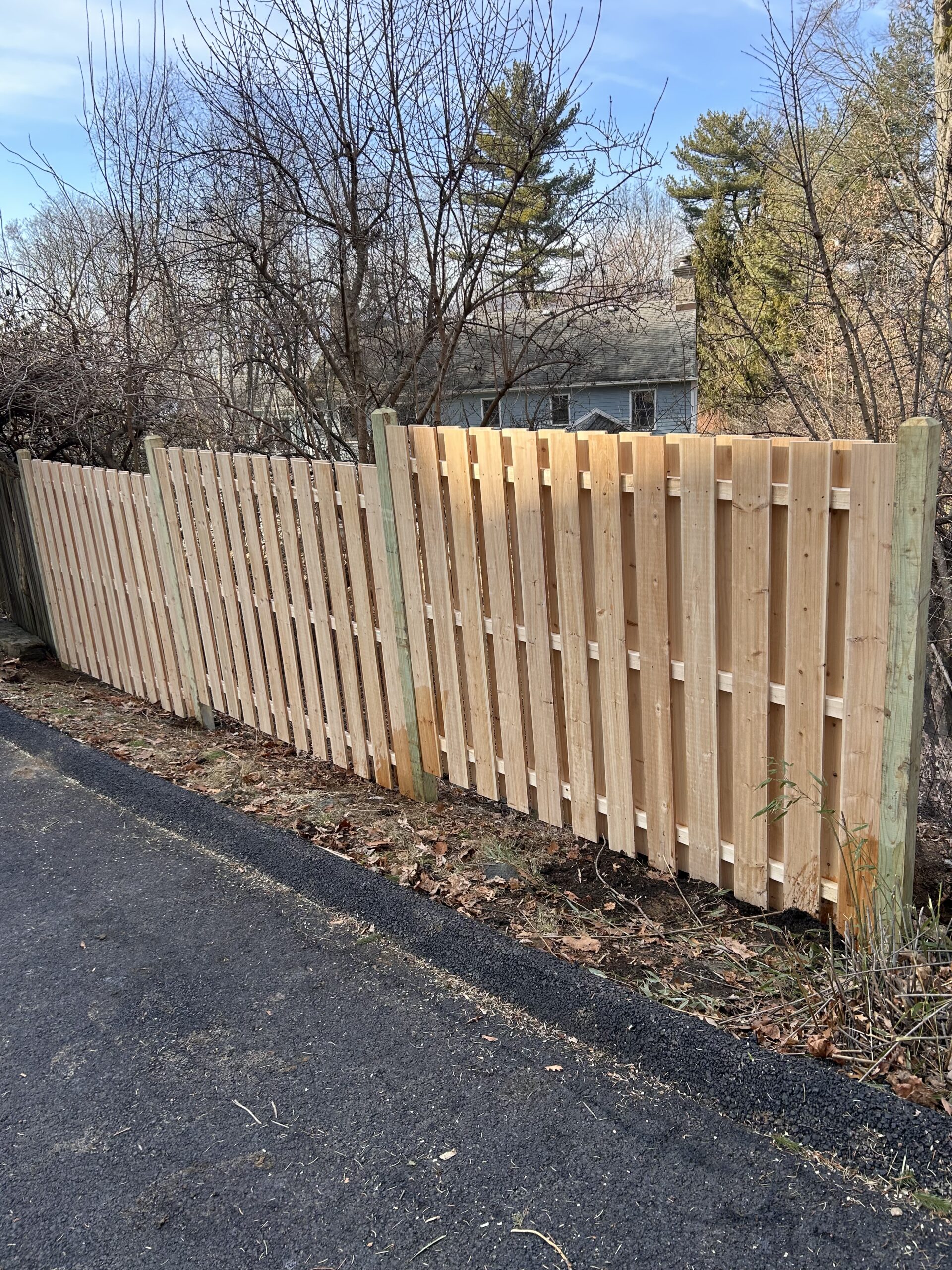 CEDAR 4