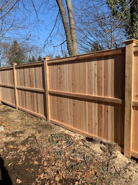 CEDAR 1 Cedar Picket8