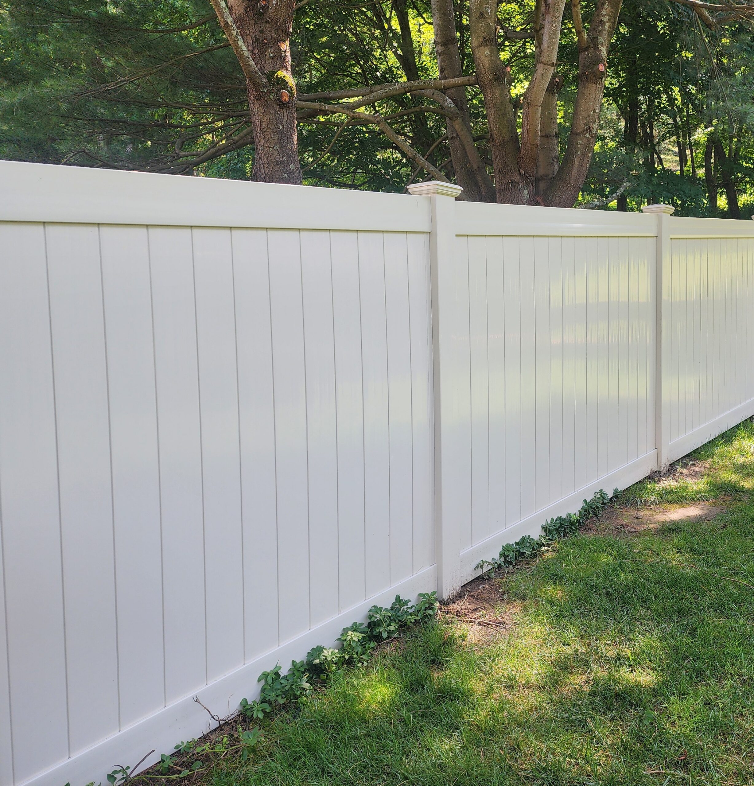 COPY 11 2025 Cedar Picket8